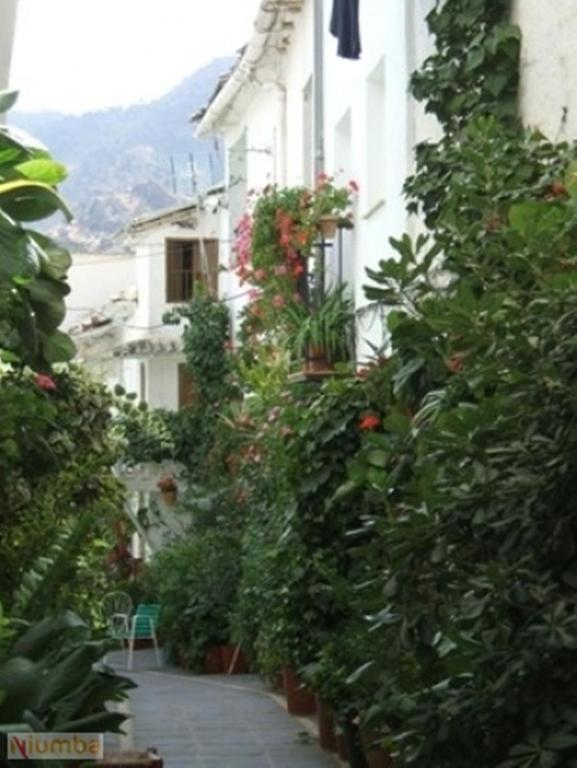 구에하르 시에라 Vivienda Turistica Arabeluj 아파트 외부 사진